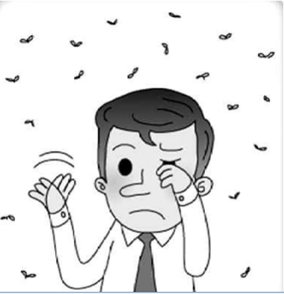 眼前總有小黑影？小心飛蚊癥！