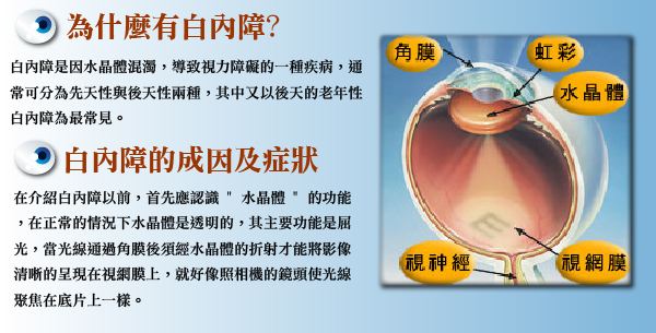 多方面認識白內(nèi)障，莫讓致盲把心傷